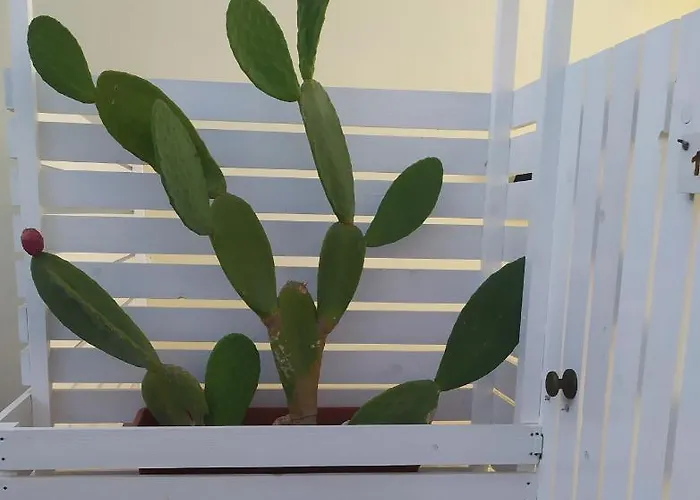 Otrantocasa Daire Otranto