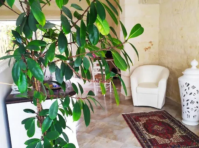 Otrantocasa דירה